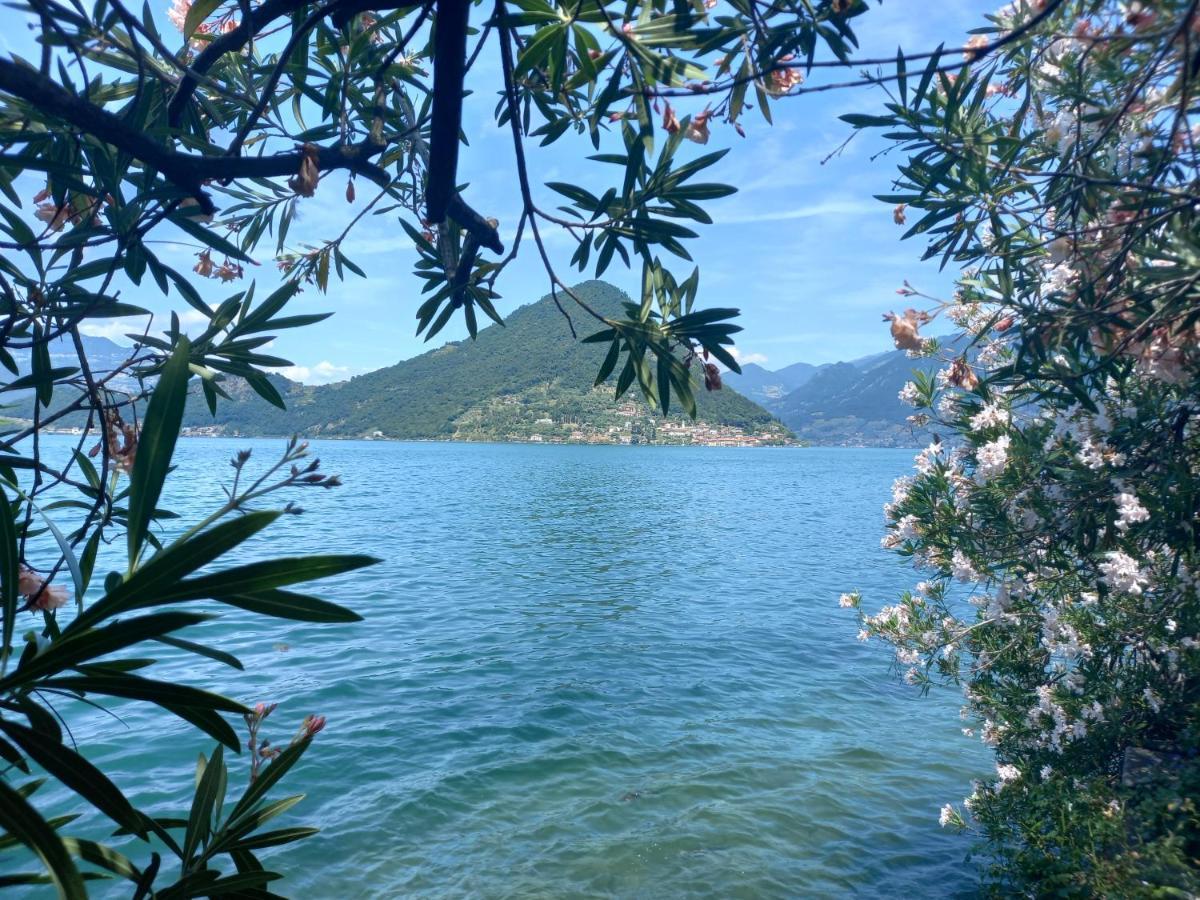 L'Oleandro Sul Lago D'Iseo B&B Sulzano Exterior foto